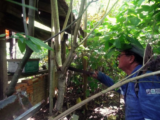 don-gabriel-y-sus-cajas-de-abejas