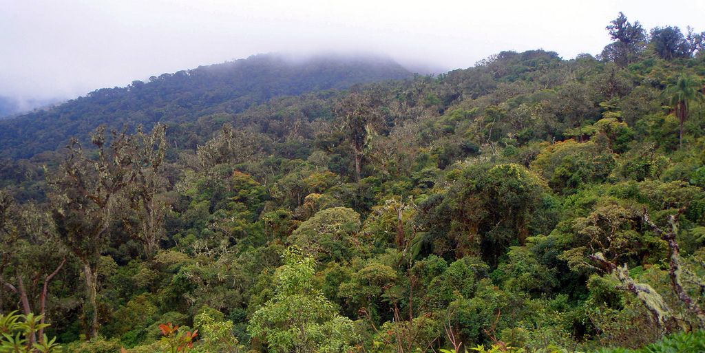 parque-amboro-bolivia