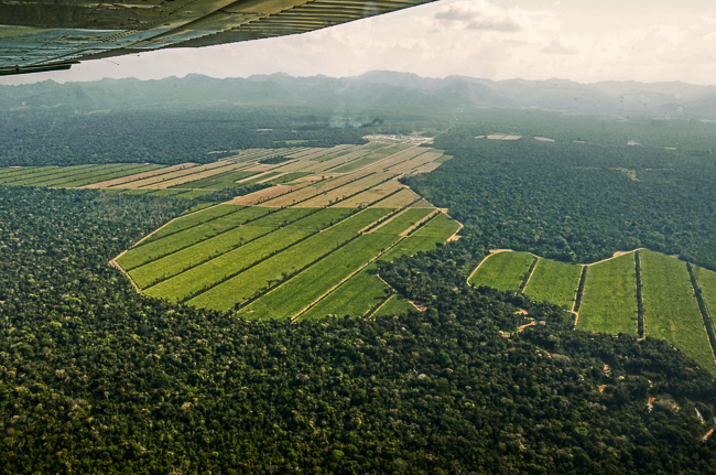 Imágenes obtenidas en un sobrevuelo que muestran la deforestación del Bosque de piedemonte en el municipio de San Buenaventura. Foto: Eduardo Franco Berton