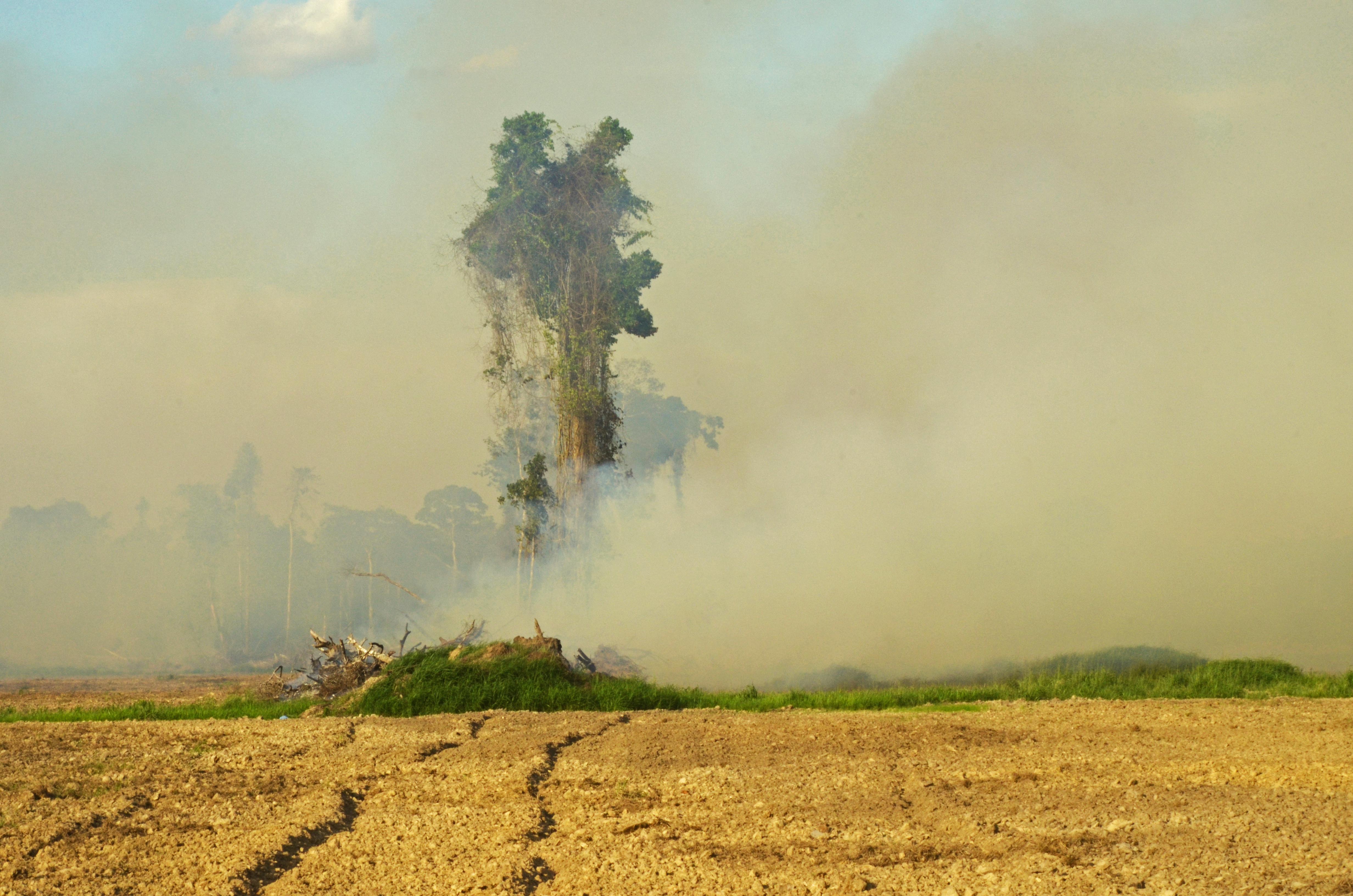 5-los-incendios-forestales-son-una-amenaza-permanente-en-guarayos