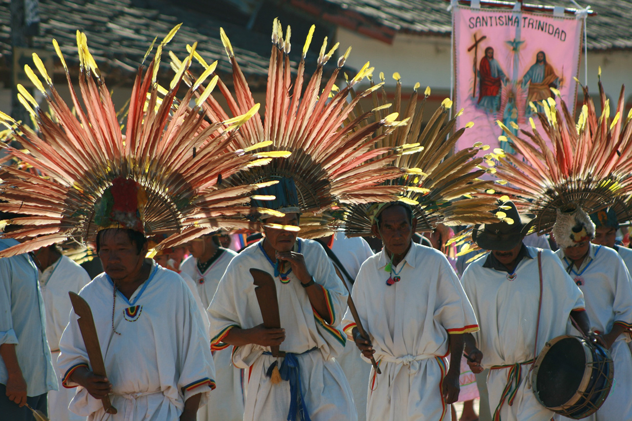 8-danza-de-los-macheteros-con-plumaje-alternativo