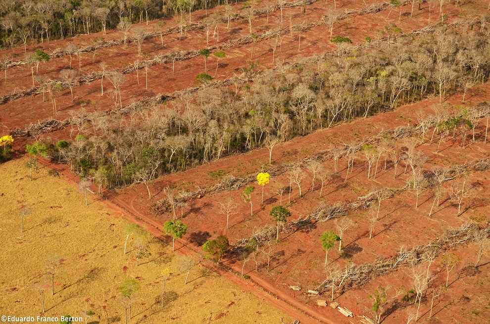 Esta imagen tiene un atributo ALT vacío; su nombre de archivo es 1-Deforestacion-Chiquitania-EDUARDO-FRANCO.jpg