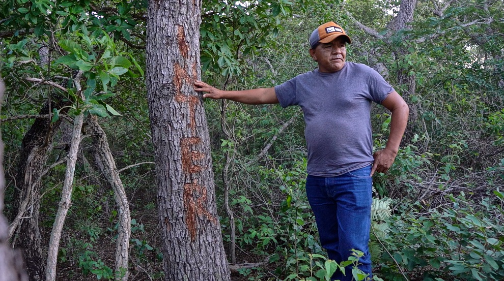 Esta imagen tiene un atributo ALT vacío; su nombre de archivo es Un-asambleista-guarani-muestra-la-marca-de-los-asentamientos-en-Nembi-Guasu-2019.jpg