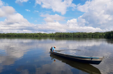 Ecosistema de manglar: un ancla de vida para comunidades costeras de Caribe de Guatemala.