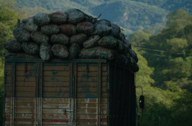 Comercialización de carbón